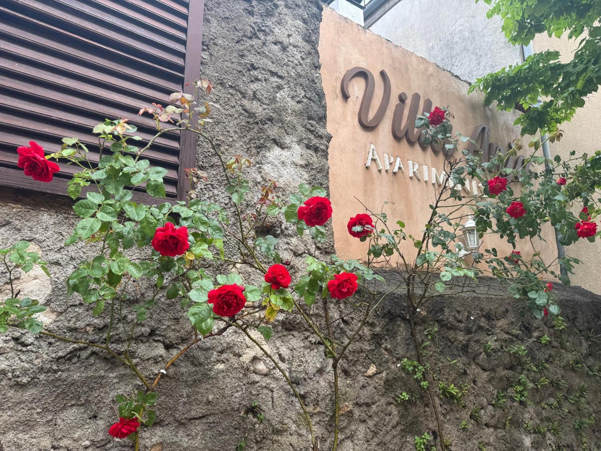 Villa Anja Apartments Mostar Kültér fotó